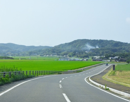 水田や緑の田園が広がる壱岐ののどかな田舎道の風景